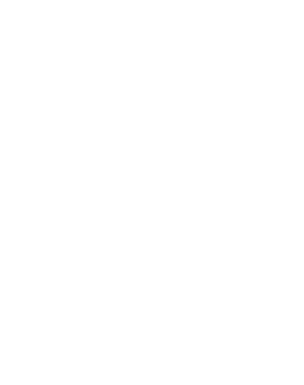 NIRVANA KART